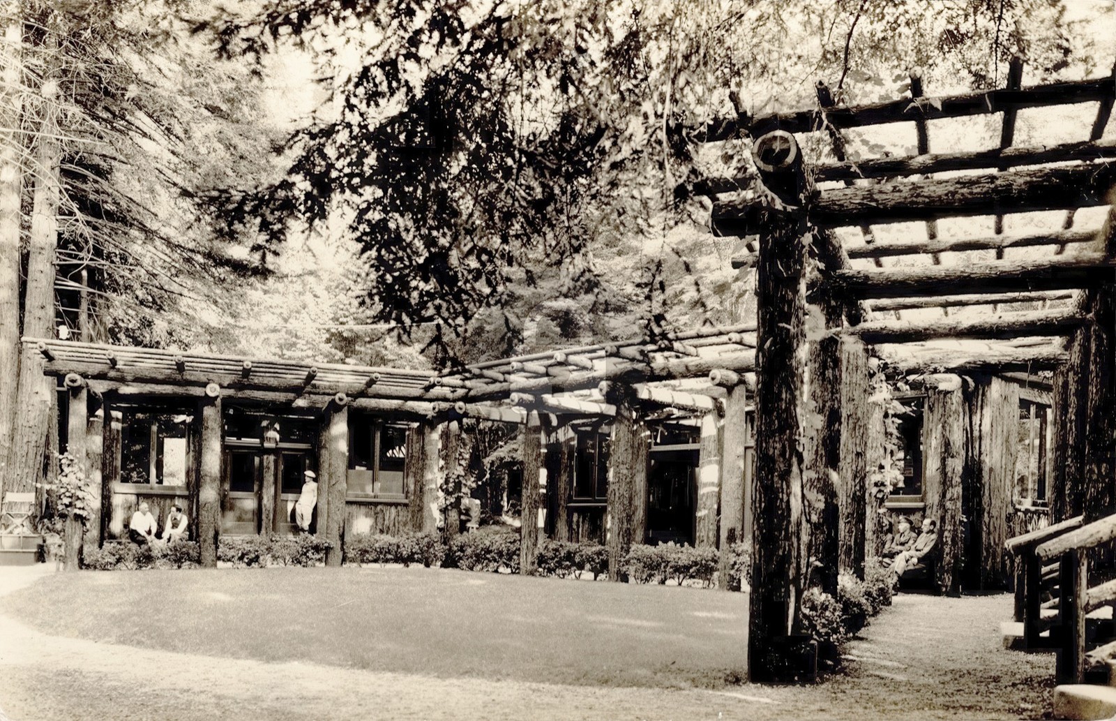 Old BOHEMIAN GROVE MONTE RIO CALIFORNIA RPPC Photo Postcard COPY