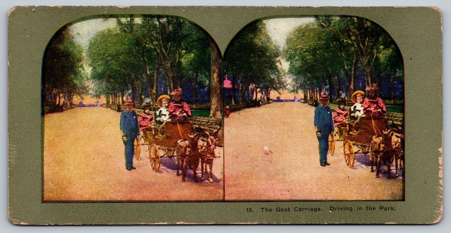 The Goat Carriage Driving in the Park Stereoview Curved Mount