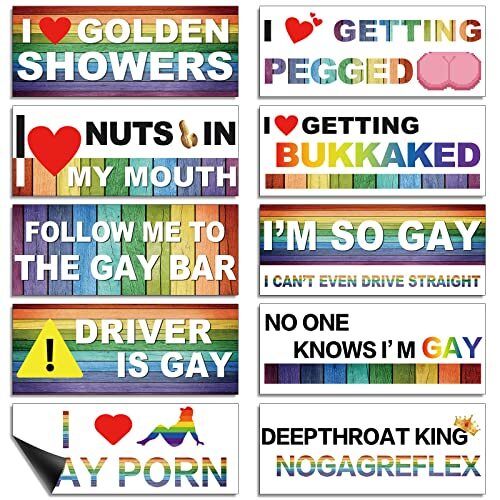 10 Pcs Funny Gay LGBT Prank Bumper Stickers Funny Car Stickers Rainbow 
