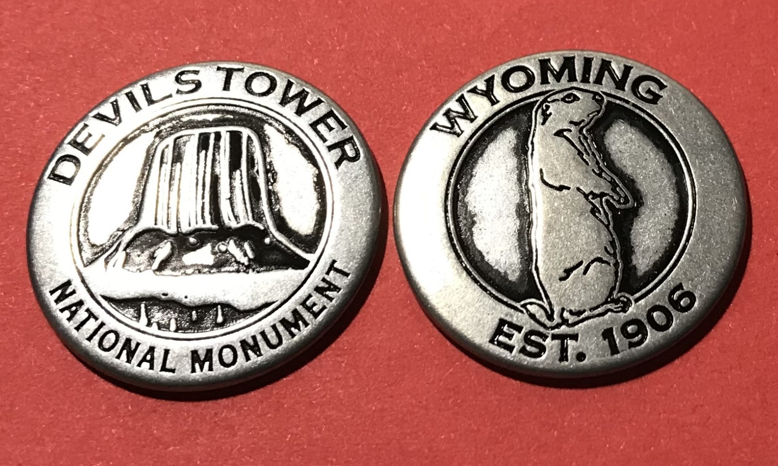 Vintage Devil's Tower National Monument Collectible Token