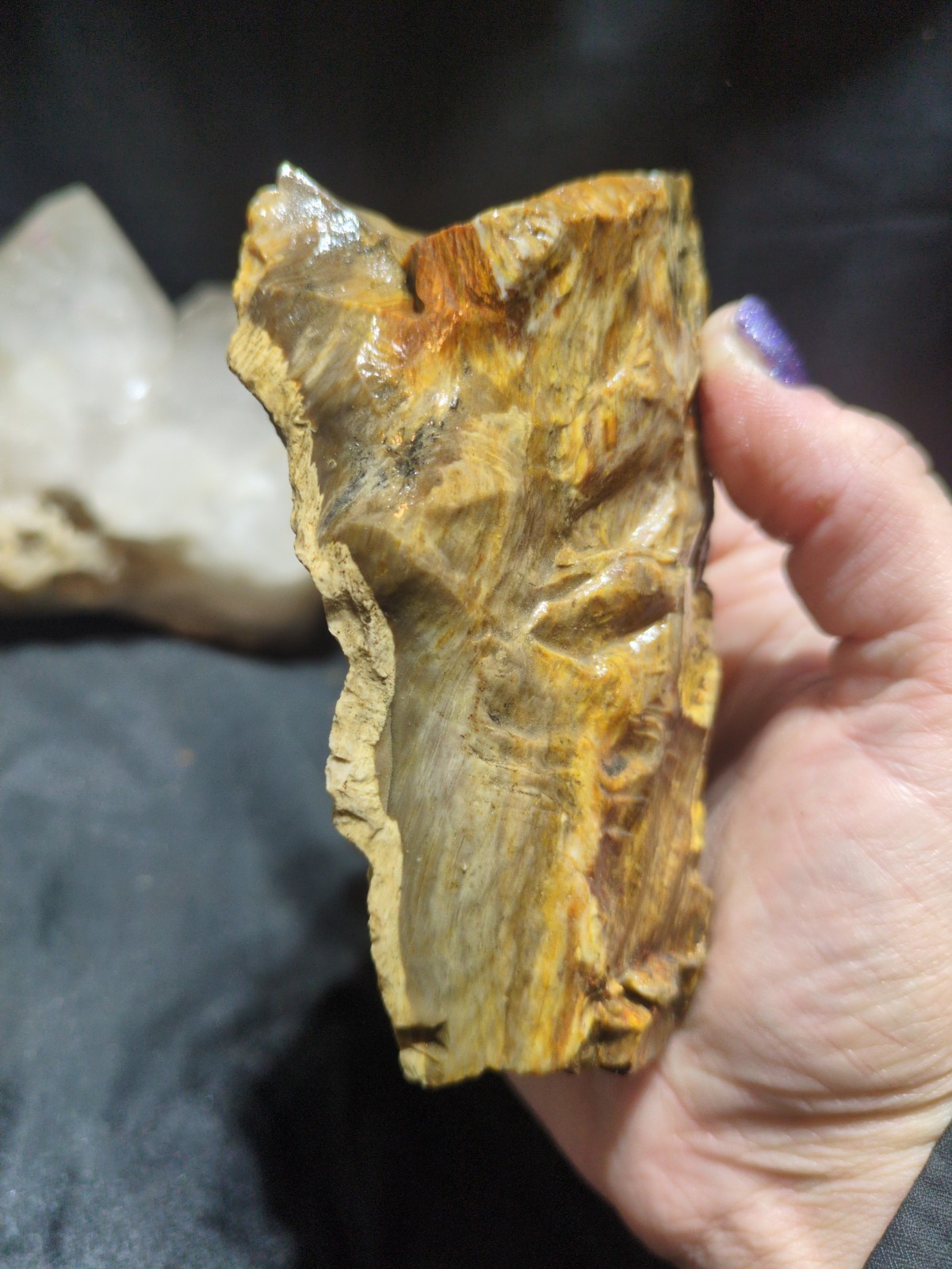 Petrified Opalized Wood Specimen Natural Form (16.8oz) 