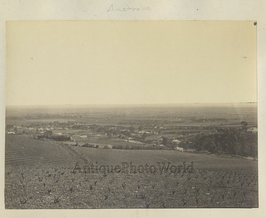Australia scenic landscape view antique albumen photo