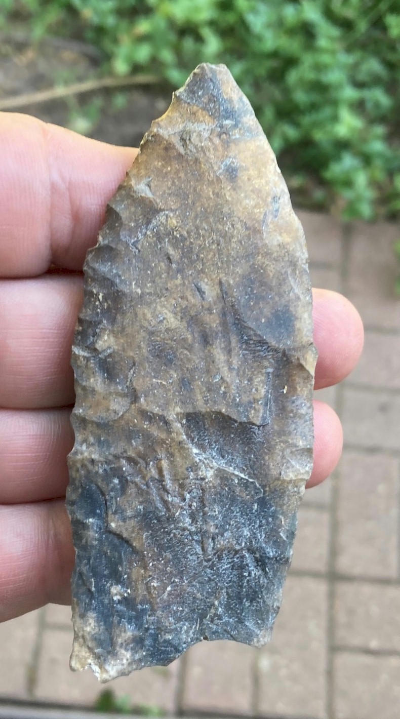 Authentic Very Large Suwannee - 4 1/8