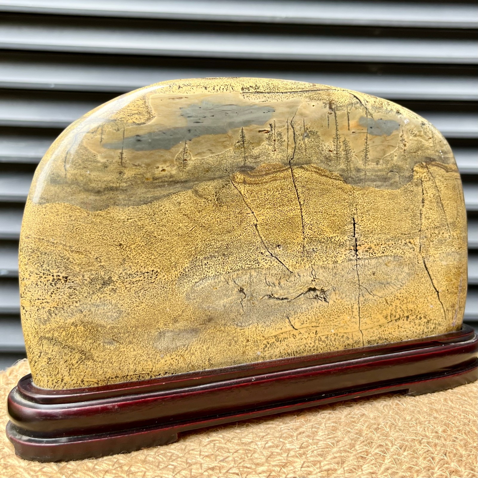 Natural Scenic Stone Display Polished Pattern Art w/ Wood Stand  4.1 lb