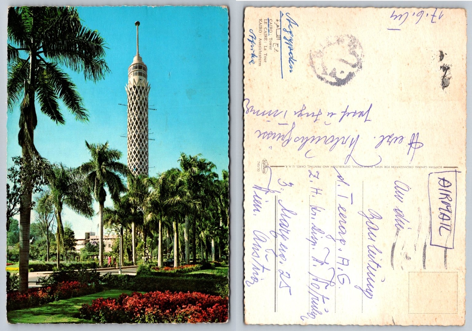 Vintage 1964 Cairo Tower Egypt Postcard - Palm Trees, Gardens, Chrome Era