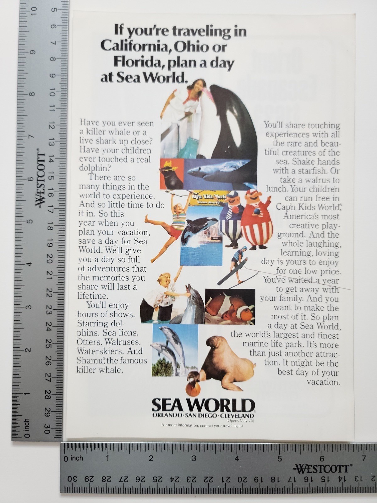 SeaWorld Orlando Killer Whale Travel Print Ad Theme Park Vintage Tourism