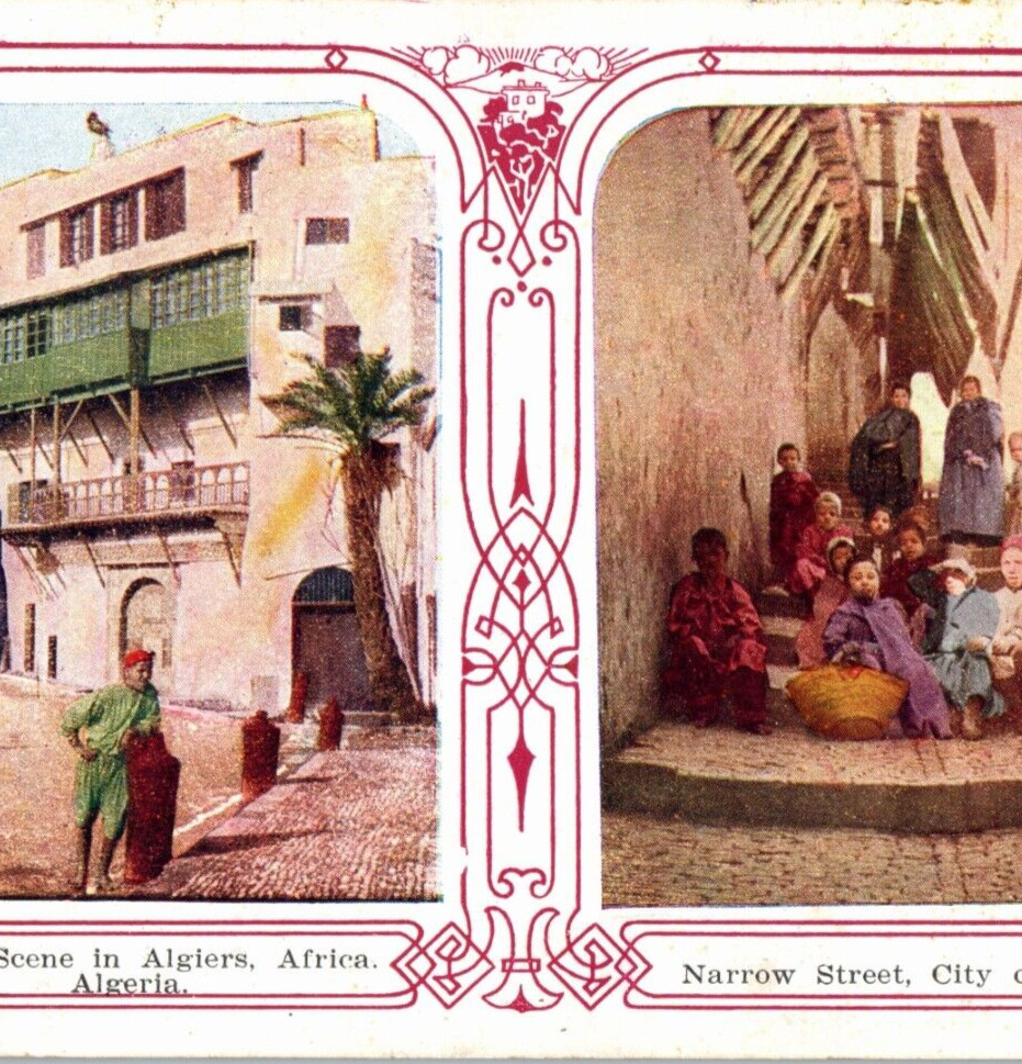 Algeria Africa Algiers Vintage Postcard