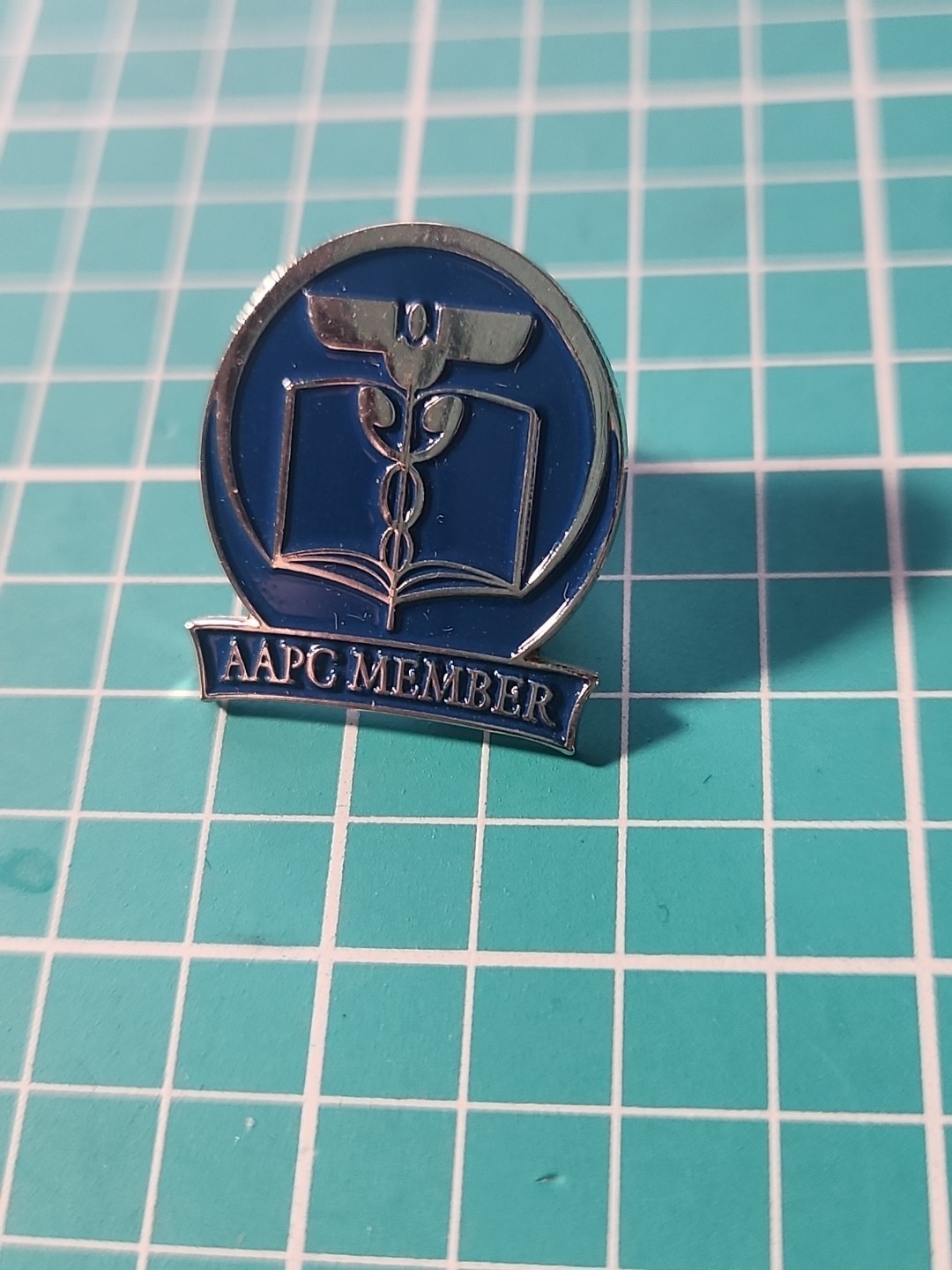 Vtg AAPC Member Silver Tone Lapel Pin