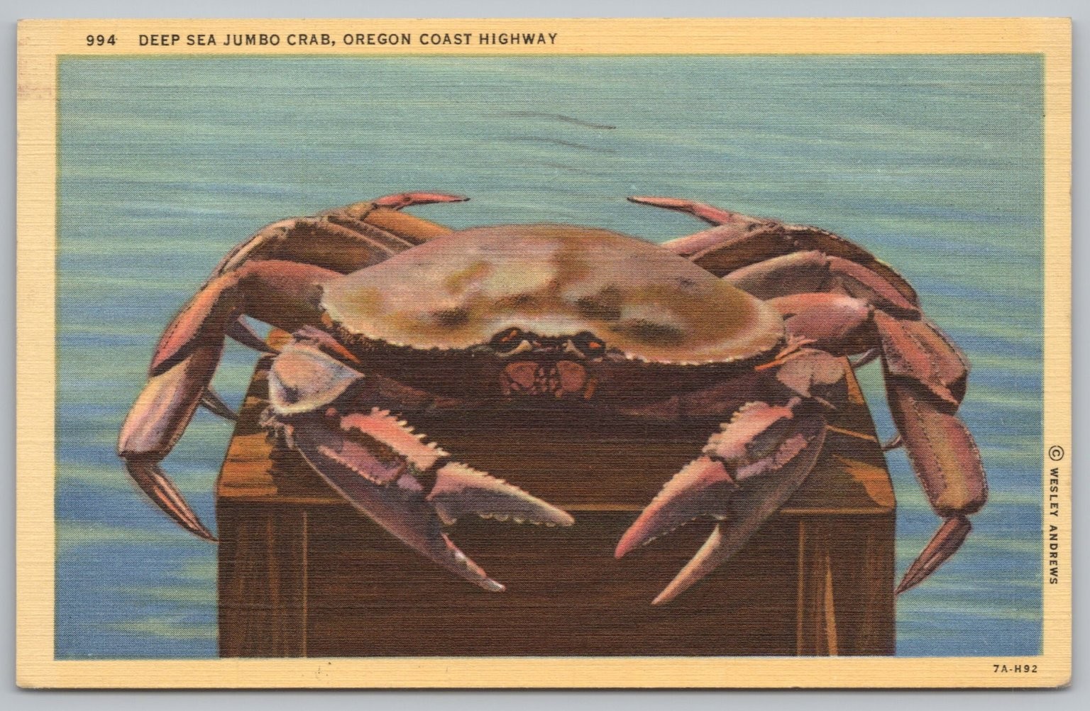 Jumbo Crab Oregon Coast Highway Linen Postcard 1947 Vintage Crustacean St Louis