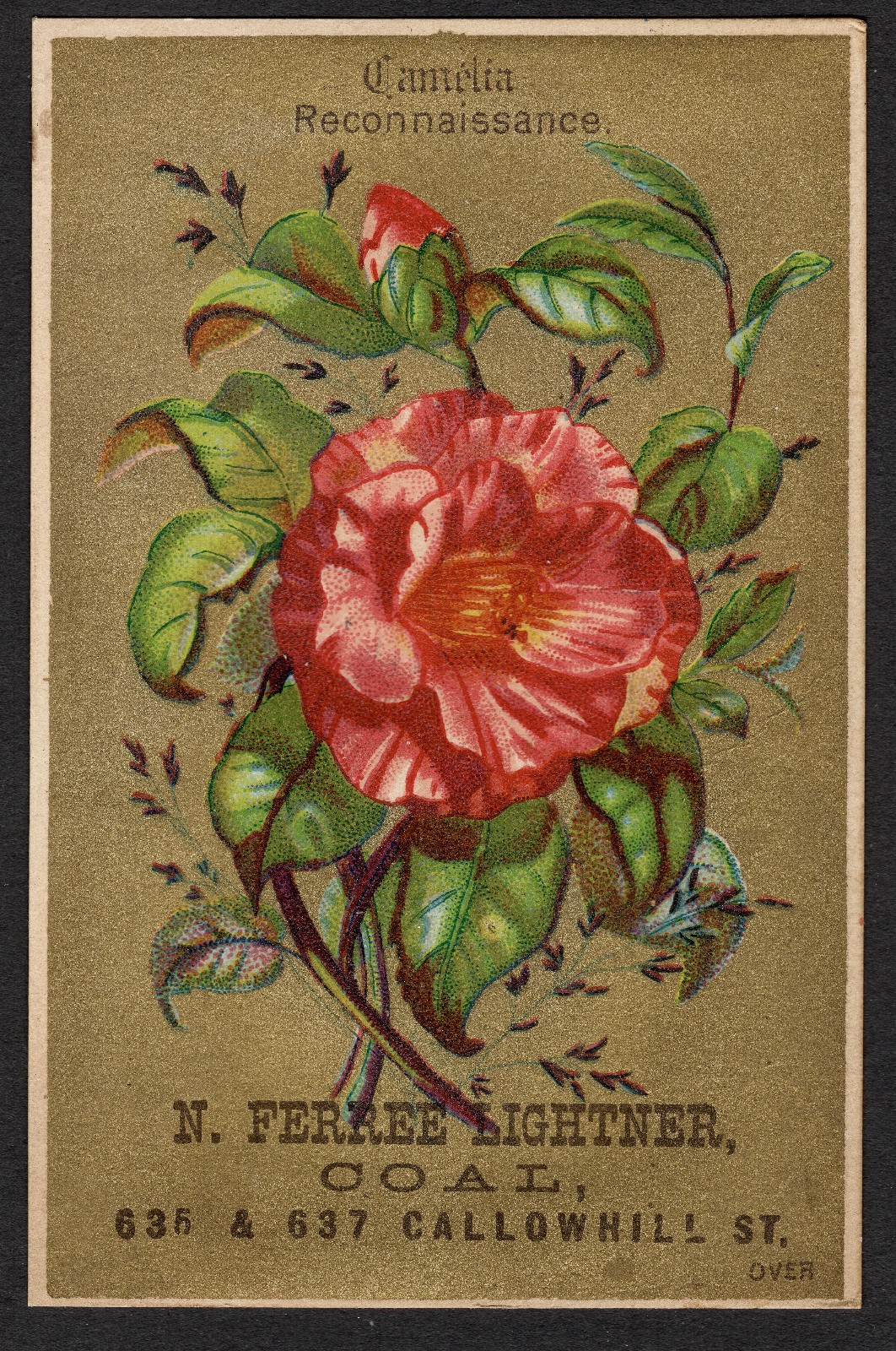 RARE? N. Ferree Lightner, Coal Philadelphia Victorian Adv. Trade Card