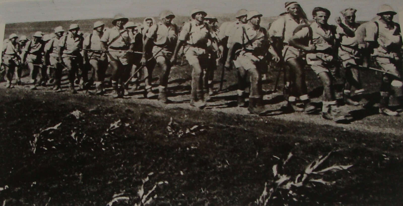 Pol Photo Print Palestine Israel Army , 1942 PALMACH German Division WW2 Haganah Pol Photo Print Palestine Israel Army , 1942 PALMACH German Division WW2 Haganah