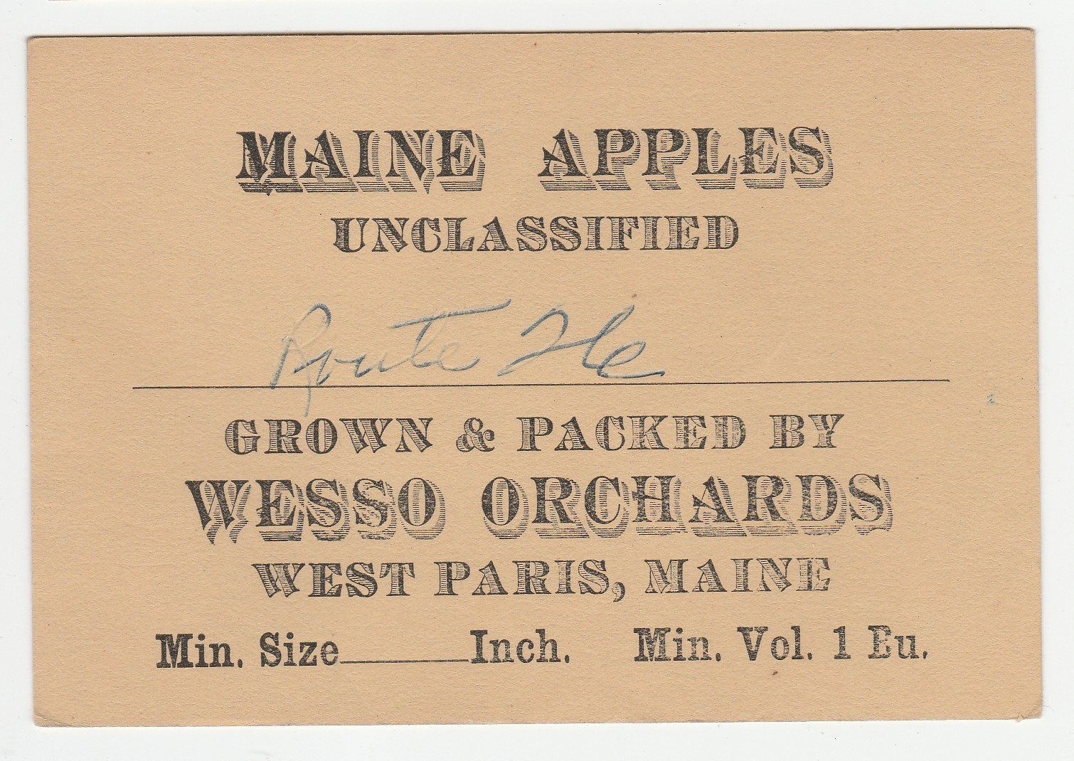 Vintage Maine apples tag, Wesso Orchards, West Paris