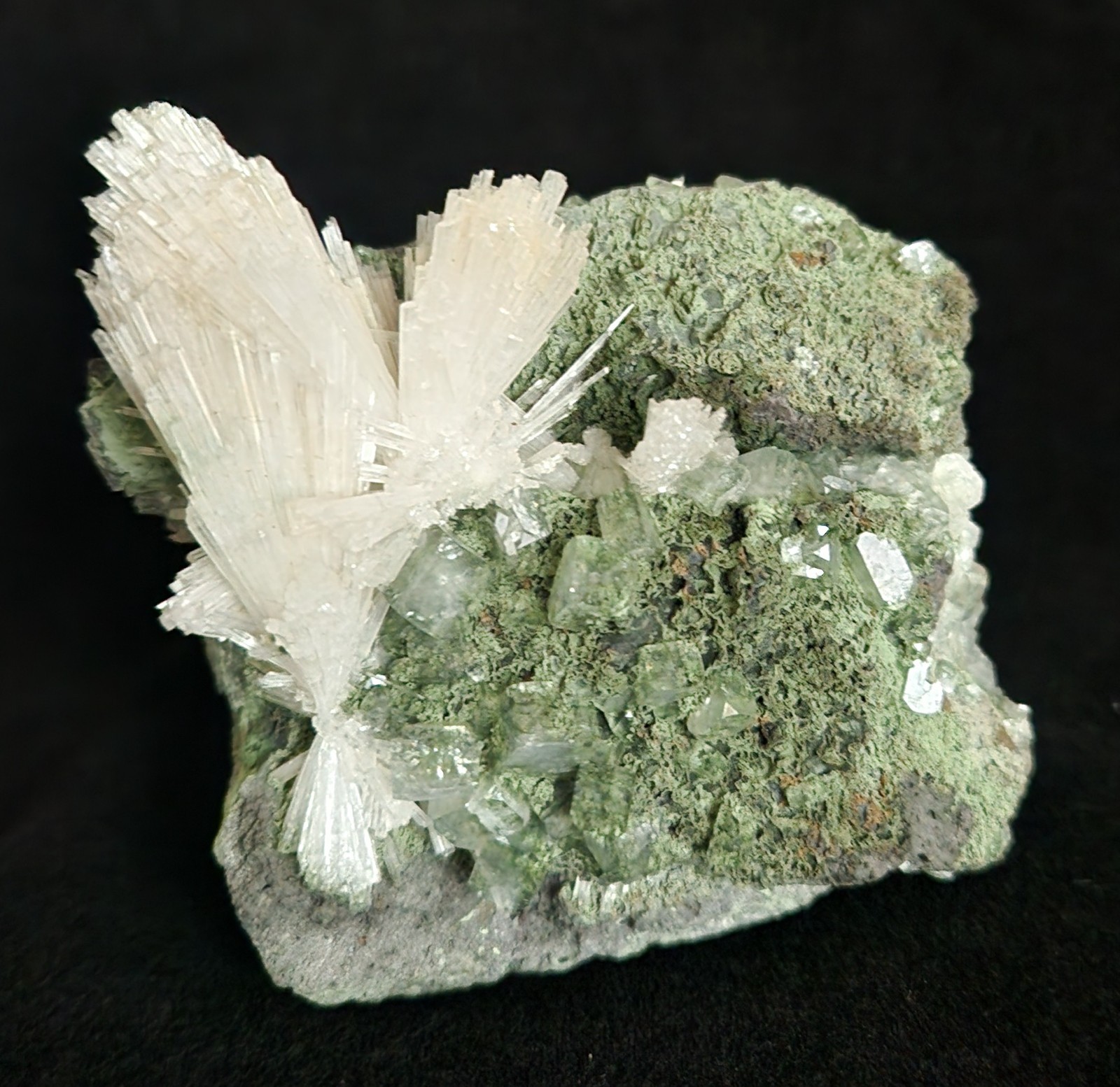 Scolecite & Apophyllite on Chalcedony – Nashik India – 3.8\ Scolecite & Apophyllite on Chalcedony – Nashik India – 3.8\