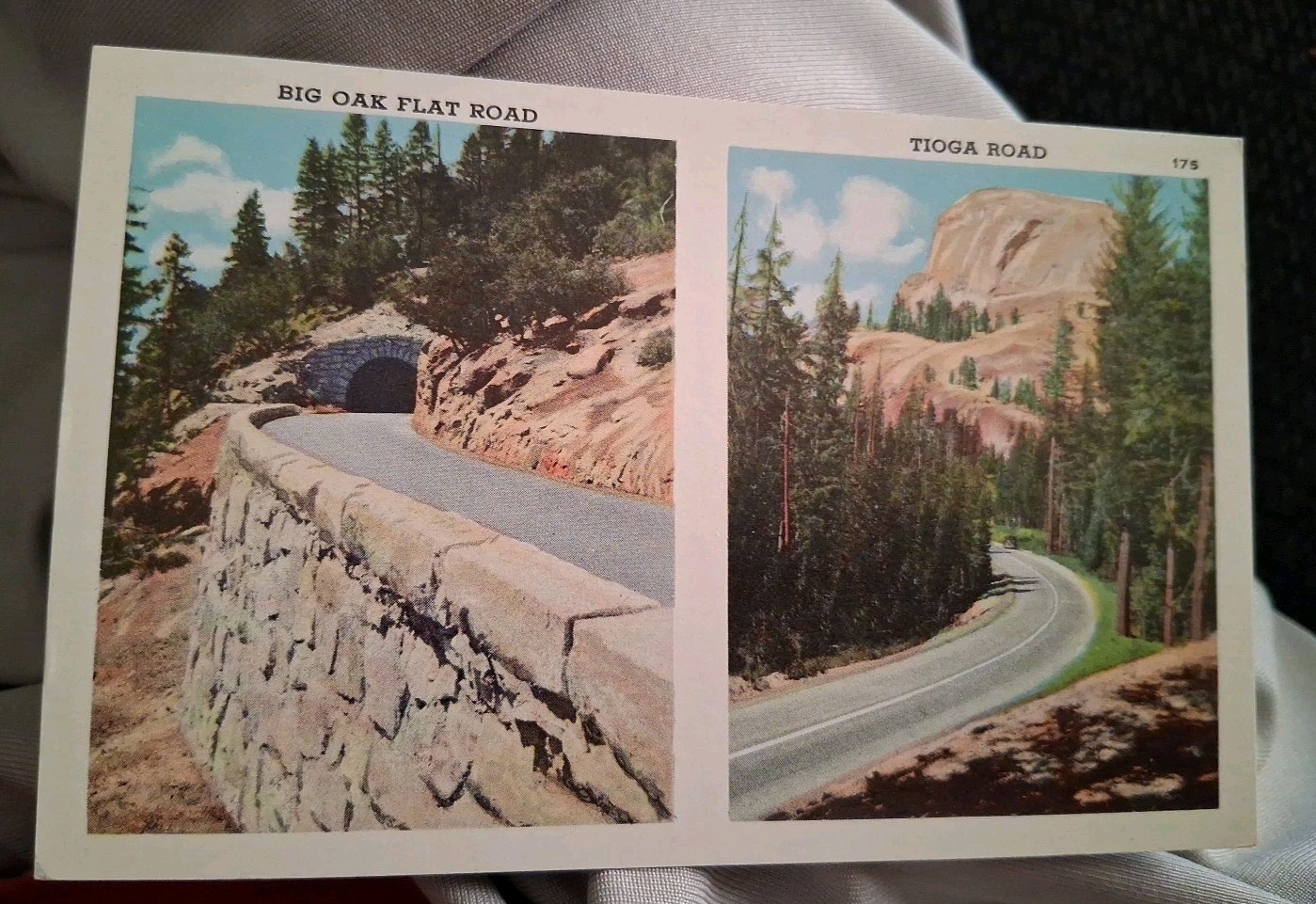 Big Oak Flat Road and Tioga Road California Postcard  