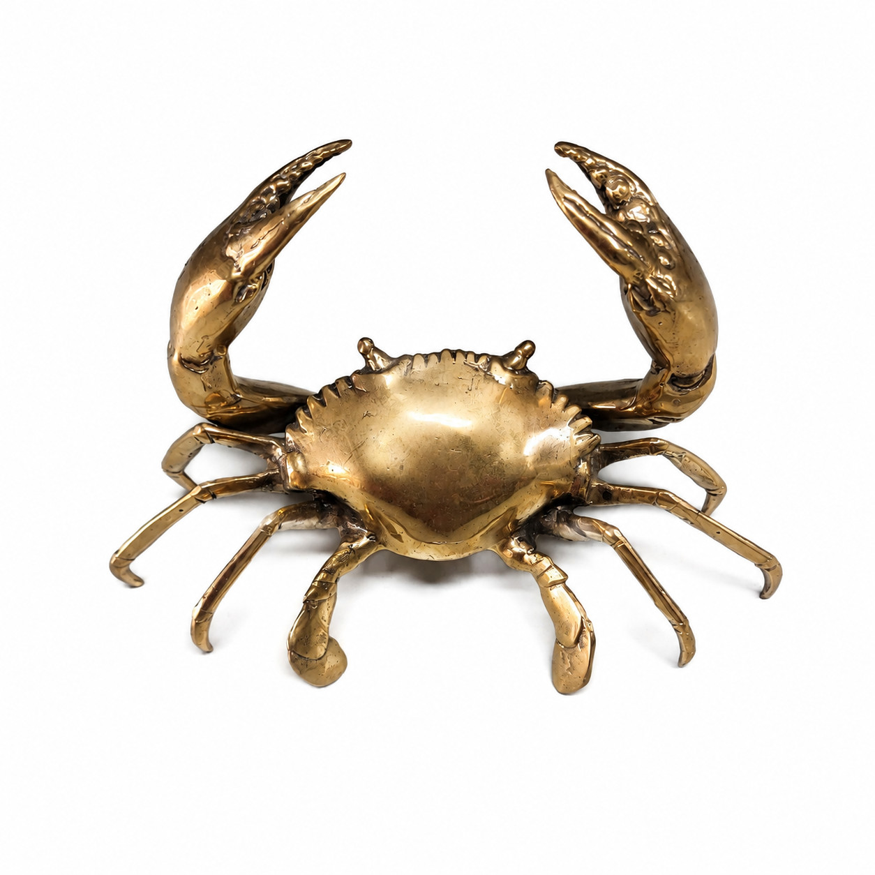 Amazing Large Mud Crab Solid Heavy Brass Statue 22cm Wide Polished Vintage Décor