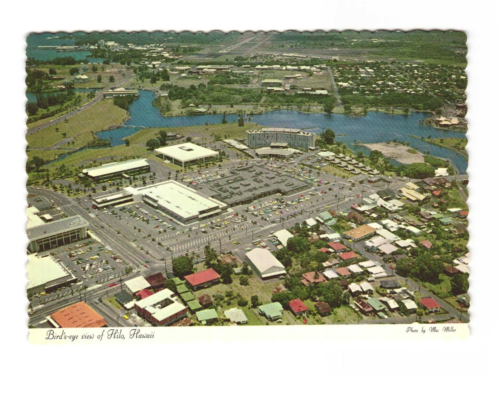 Bird\'s eye view of Hilo Hawaii vintage postcard unposted