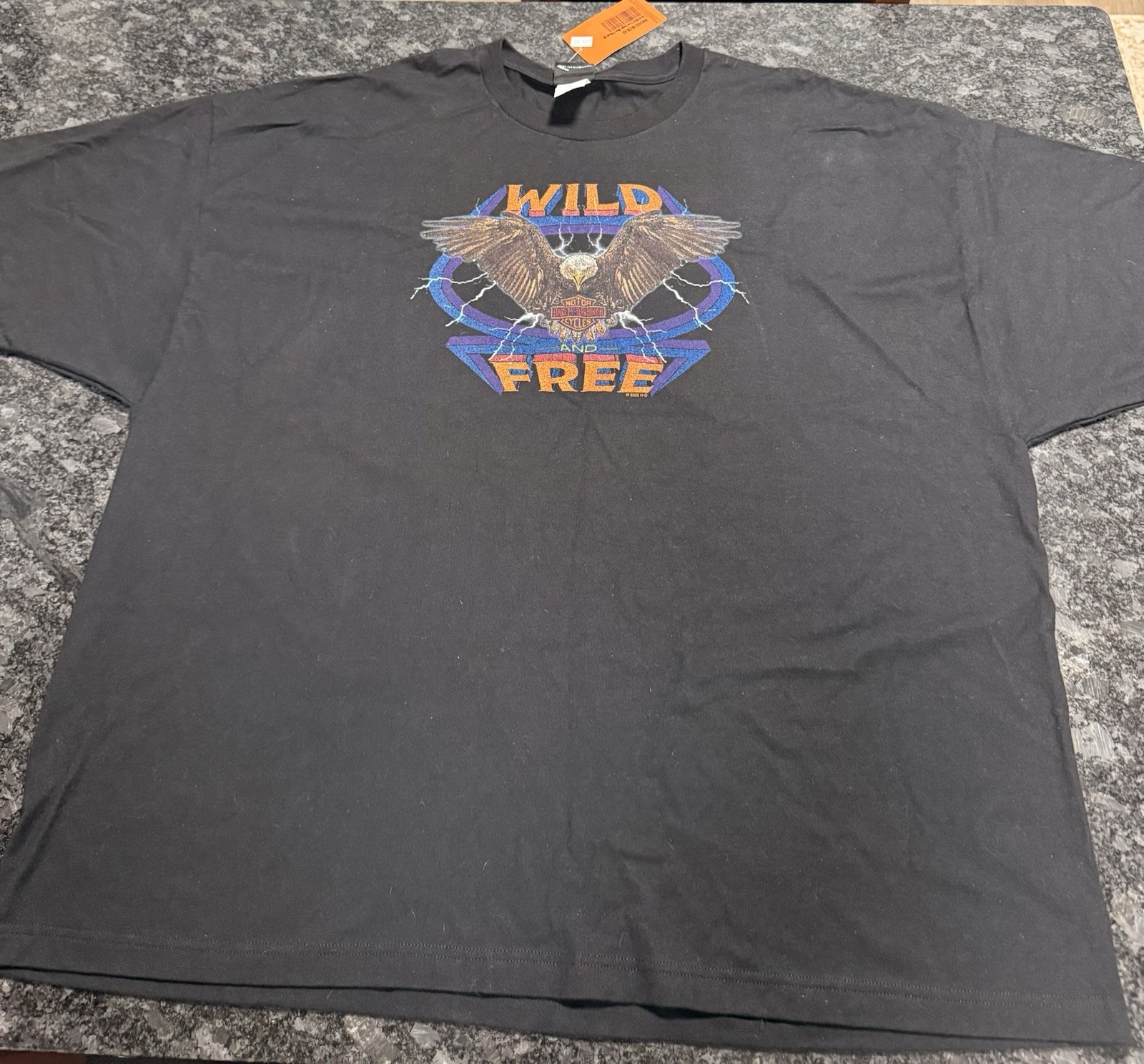 Harley-Davidson Wild and Free Eagle Orlando Florida Black T-Shirt 4XL