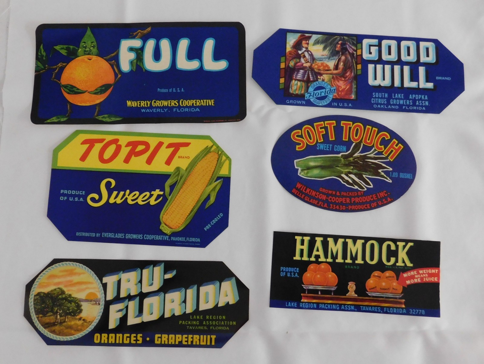 25 Different Vintage Florida Crate Labels 25 Different Vintage Florida Crate Labels
