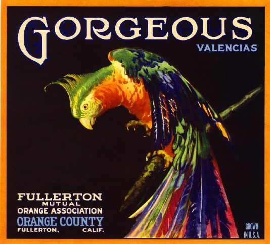 Fullerton Gorgeous Parrot Bird Orange Citrus Fruit Crate Label Art Print