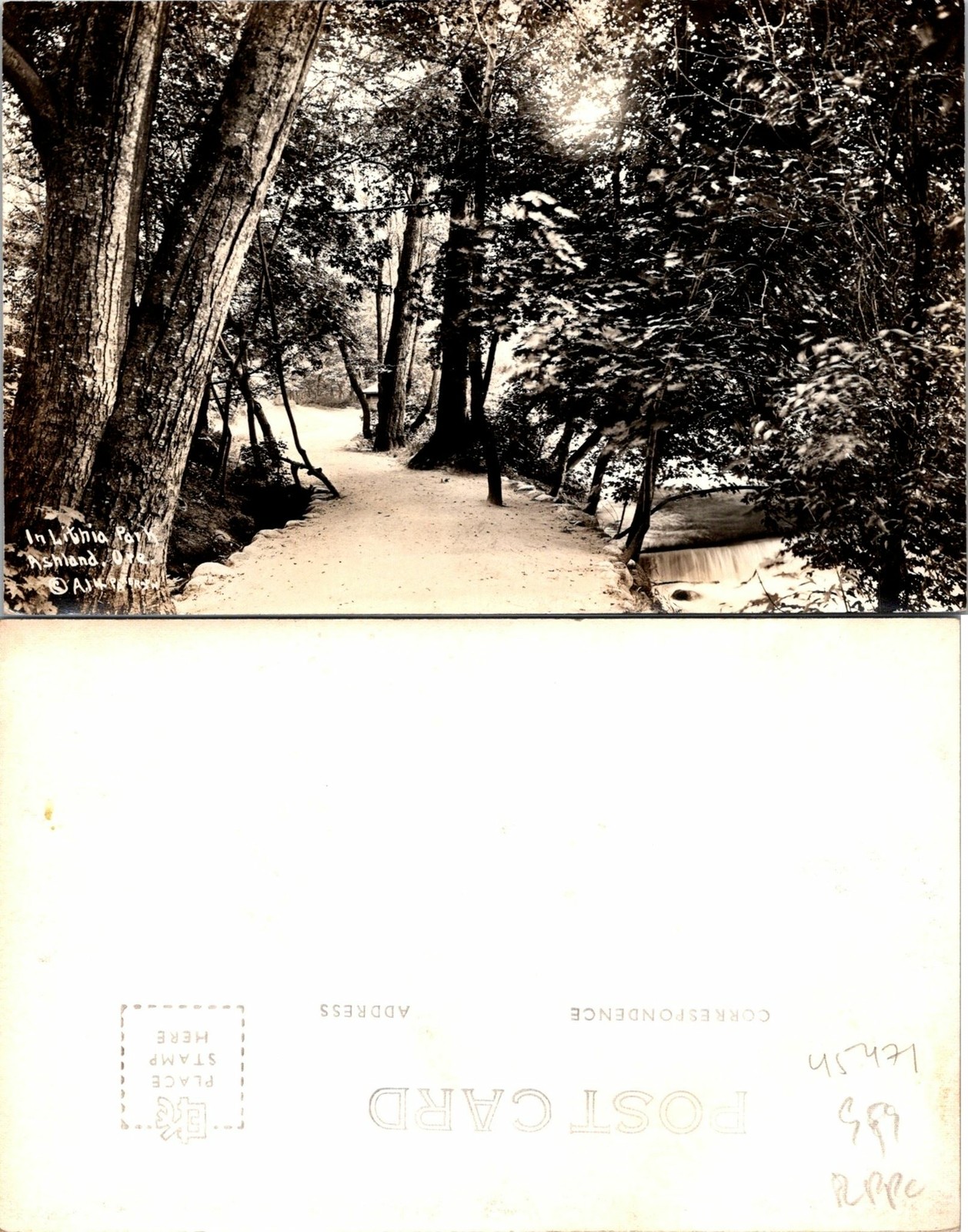 Ashland OR Lithia Park Postcard Unused (45471) Ashland OR Lithia Park Postcard Unused (45471)