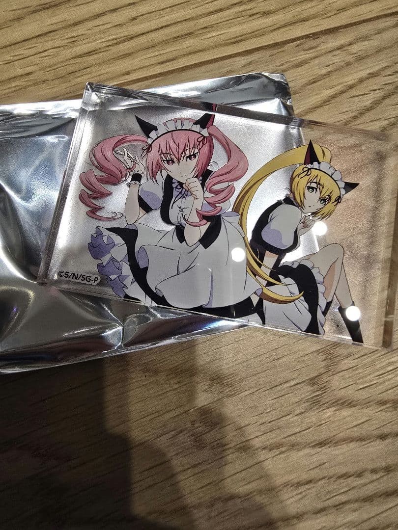 STEINS;GATE Anime 15th AnnIversary Exhibition Acrylic Block