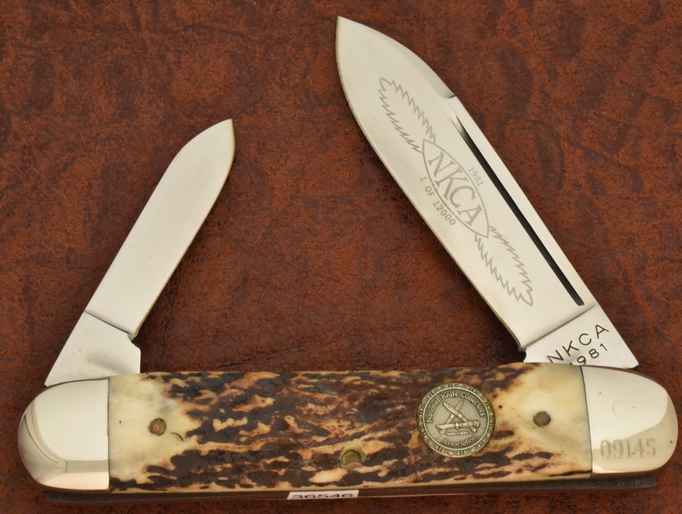 VINTAGE QUEEN MADE IN USA NKCA STAG JUMBO LONG PULL CIGAR KNIFE 1981  (36546)