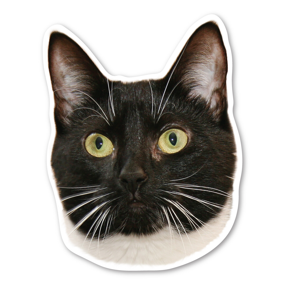 Tuxedo Cat Magnet Tuxedo Cat Magnet