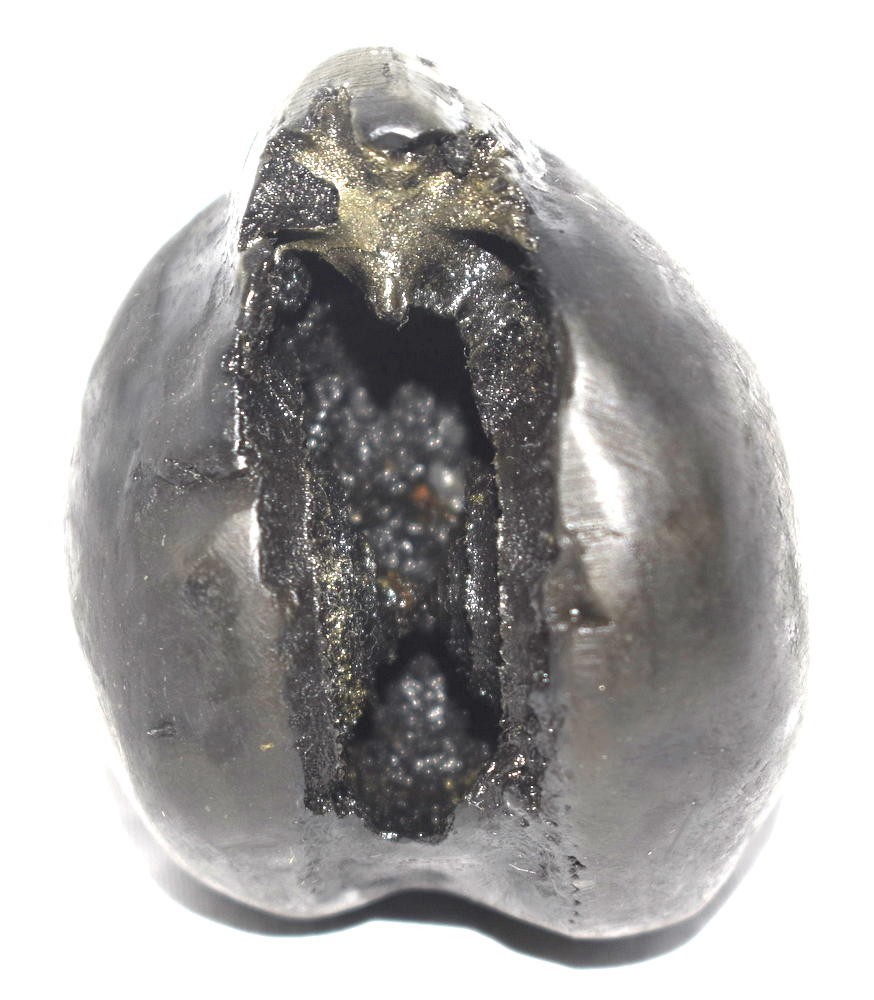 Sacred Adwaitya Golden Kalpavriksha Tripura Bhairavi Shaligram - Gandaki River
