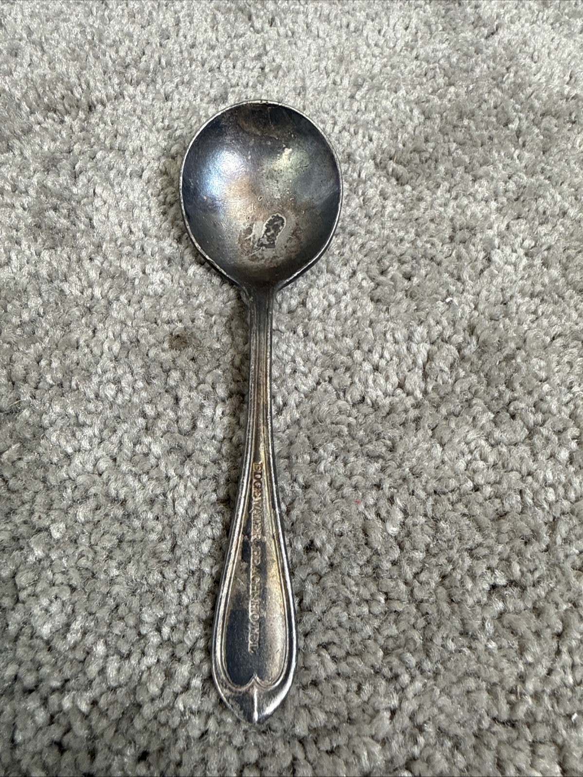 Vintage Edgewater Beach Hotel Spoon