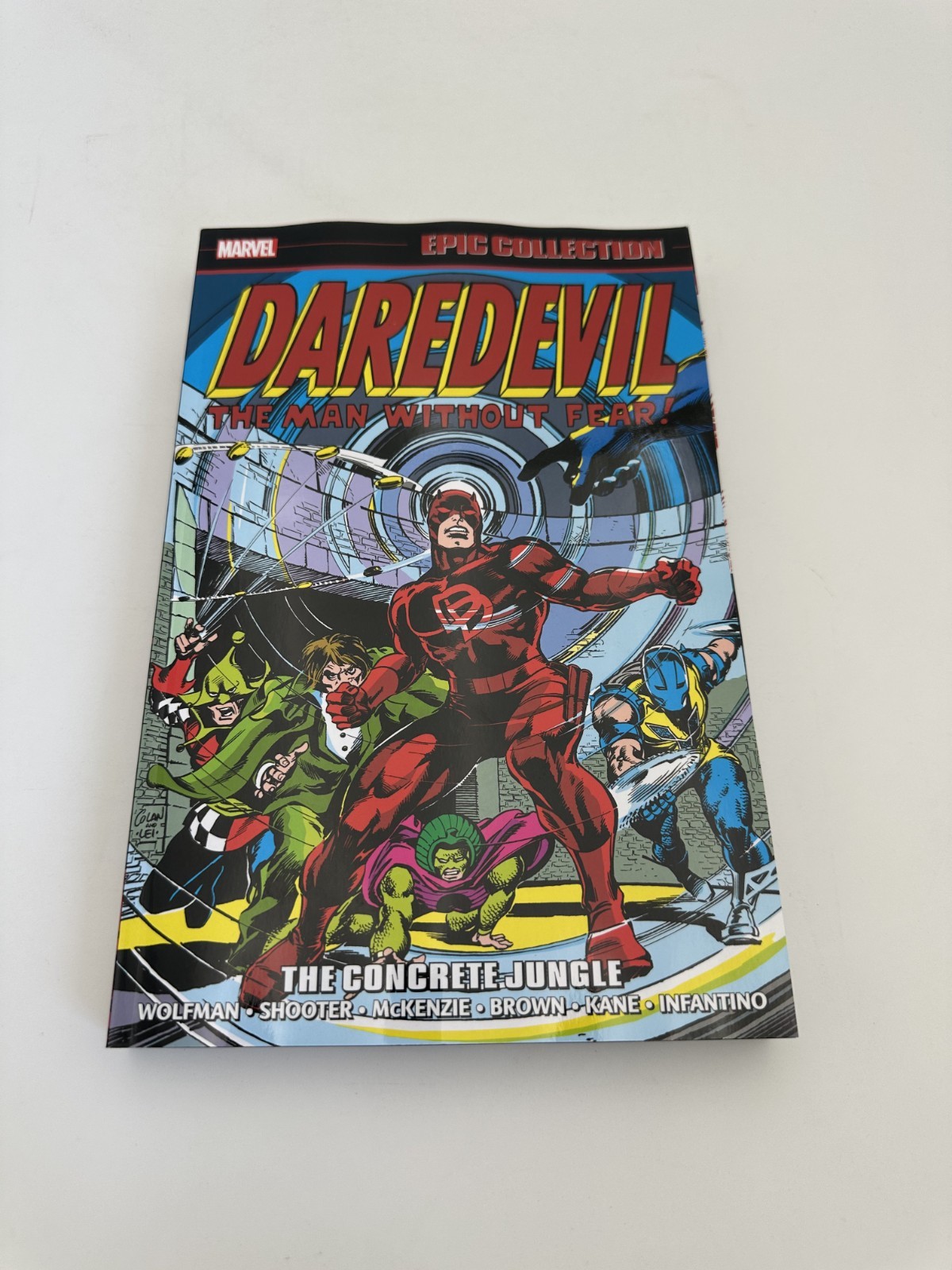 DAREDEVIL EPIC COLLECTION: THE CONCRETE JUNGLE TPB