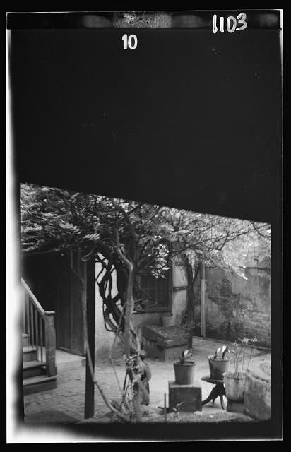Photo:New Orleans LA Courtyard 1920s Tree Patio Garden