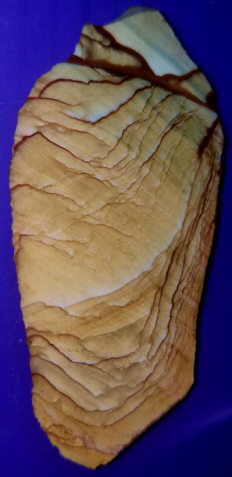 PREMIUM AAA+ Oregon Vistaite Jasper Slab Picture Jasper Rough Cabochon (GeM)#066