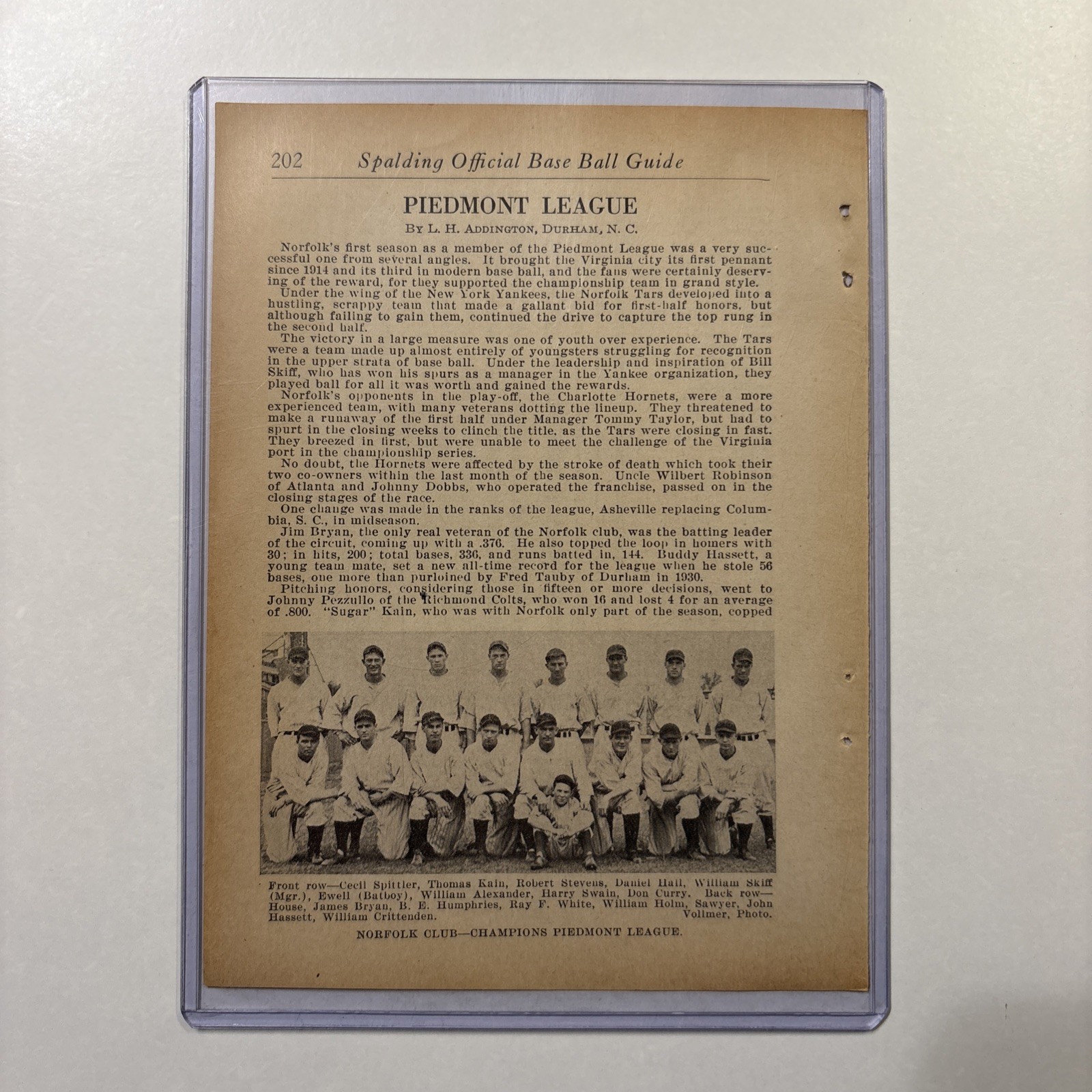 1934 Norfolk VA Baseball Team Picture Rare Antique Virginia League Champions