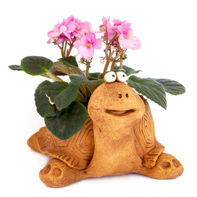 Turtle Planter Terracota Ceramic Indoor Outdoor Planter Clay Plants Pot Tortoise