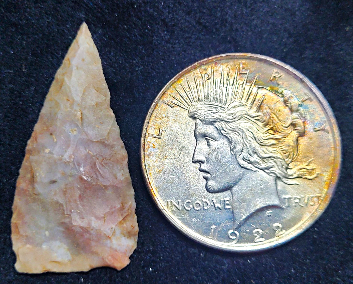 Needle Sharp Tortugas From Starr, Co. Texas. Beautiful Material.
