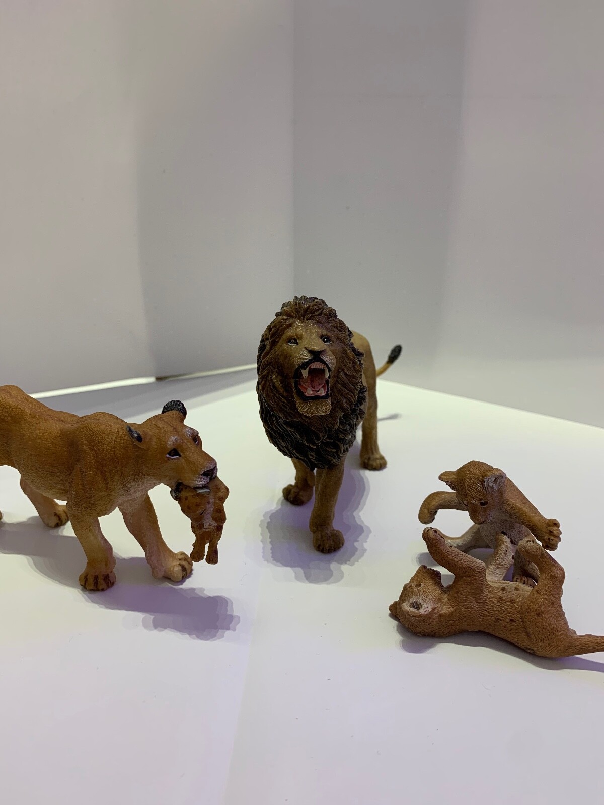 Schleich Lion family, very rare set of 4 Schleich Lion family, very rare set of 4