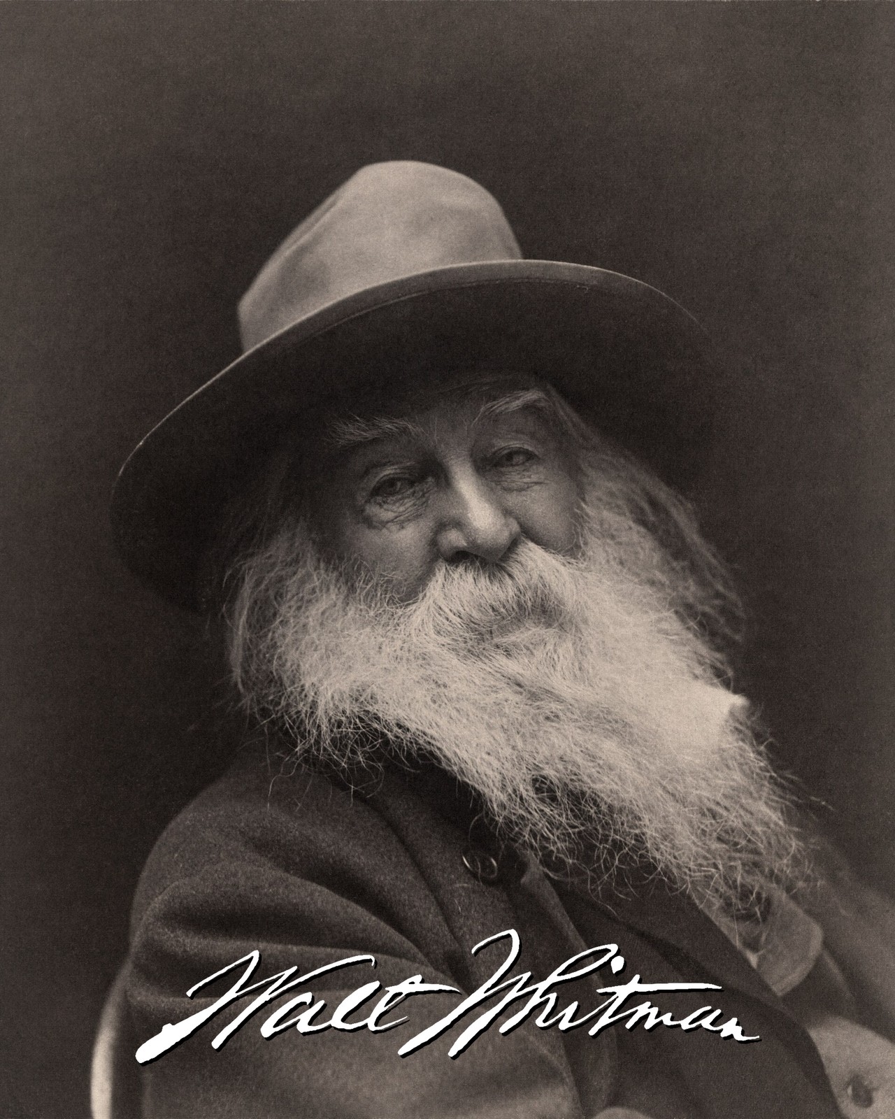 Walt Whitman Printed Signature Reprint Not Hand Signed Walt Whitman Printed Signature Reprint Not Hand Signed