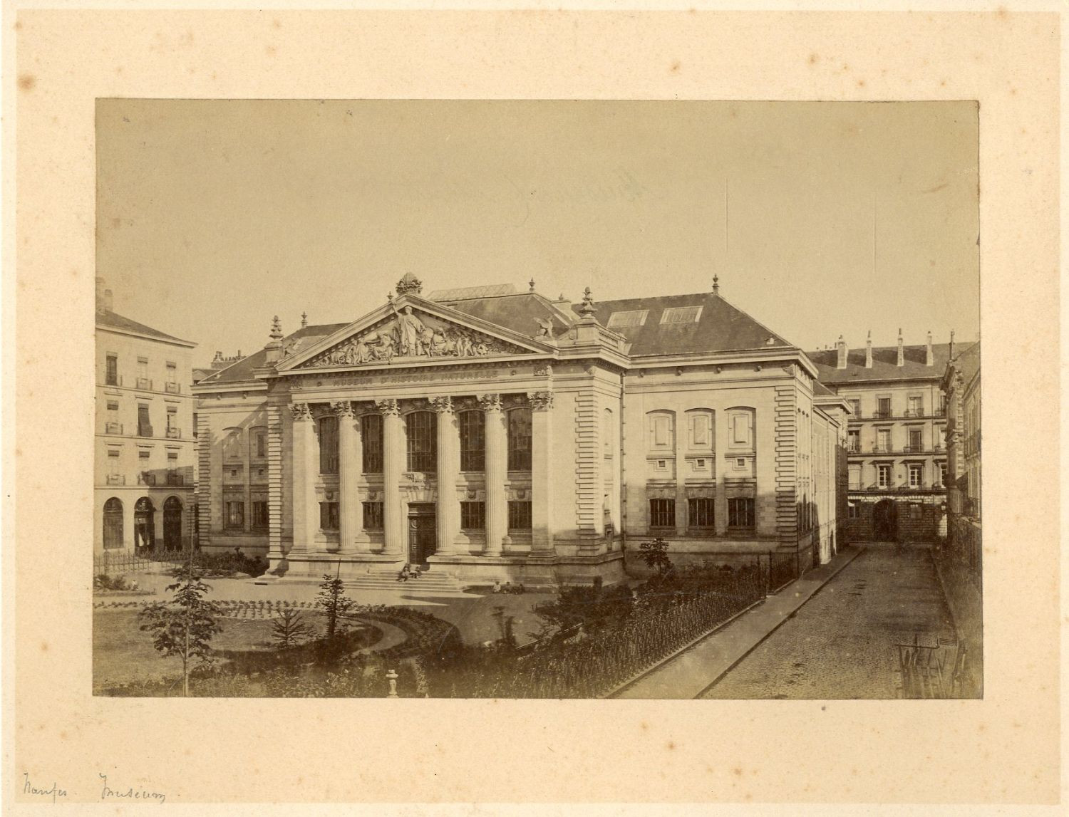 France, Nantes. Museum d'Histoire Naturelle Vintage Albumen Print.  Strip