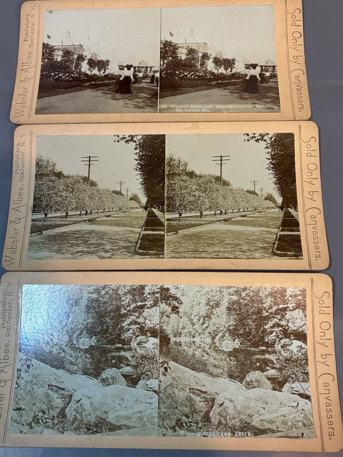 3 x Antique Stereoview Cards Webster and Albee US Scenes