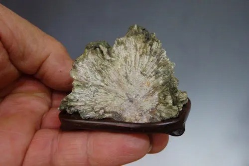 Japan SHIMONITA KIKKA-SEKI Chrysanthemum stone SUISEKI w/ pedestal h2\