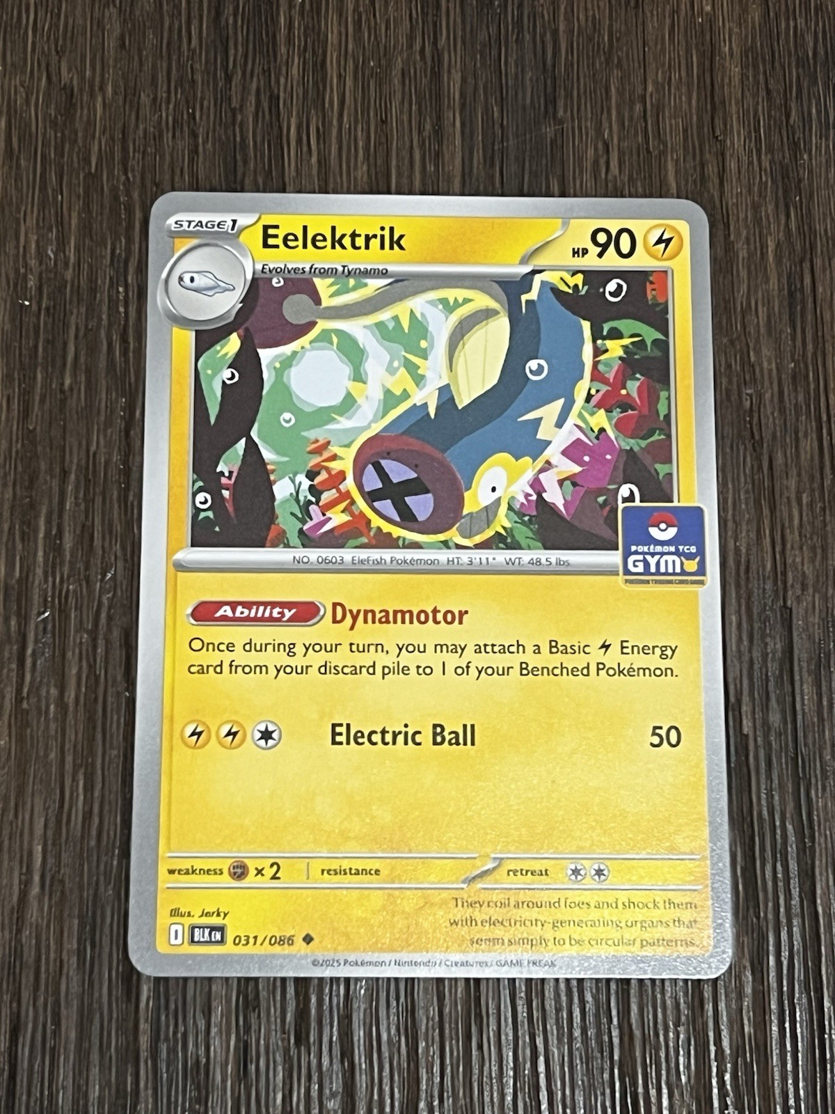 Eelektrik 031/086 Asia Exclusive GYM Promo Pokemon TCG