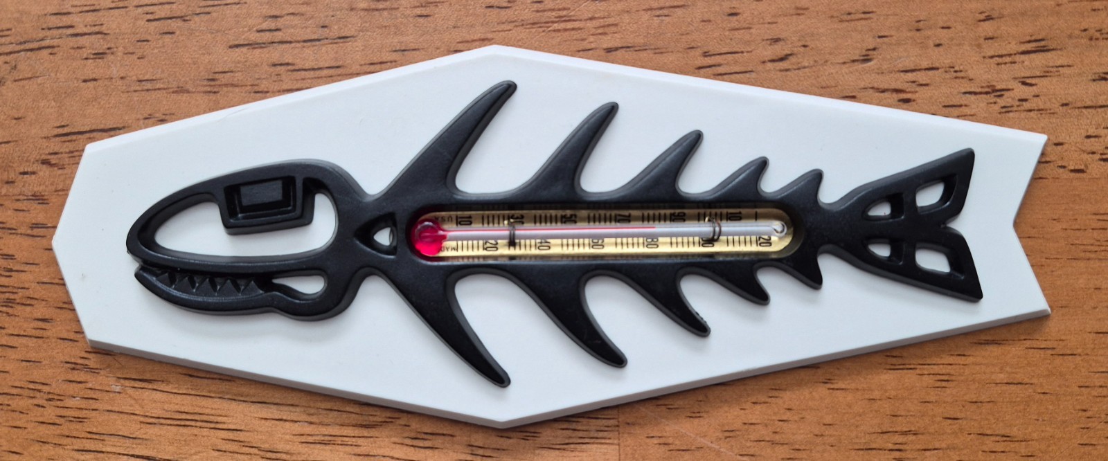 Vintage Fish Thermometer From St Labre Indian School, Very Nice, Not Yellowed Vintage Fish Thermometer From St Labre Indian School, Very Nice, Not Yellowed