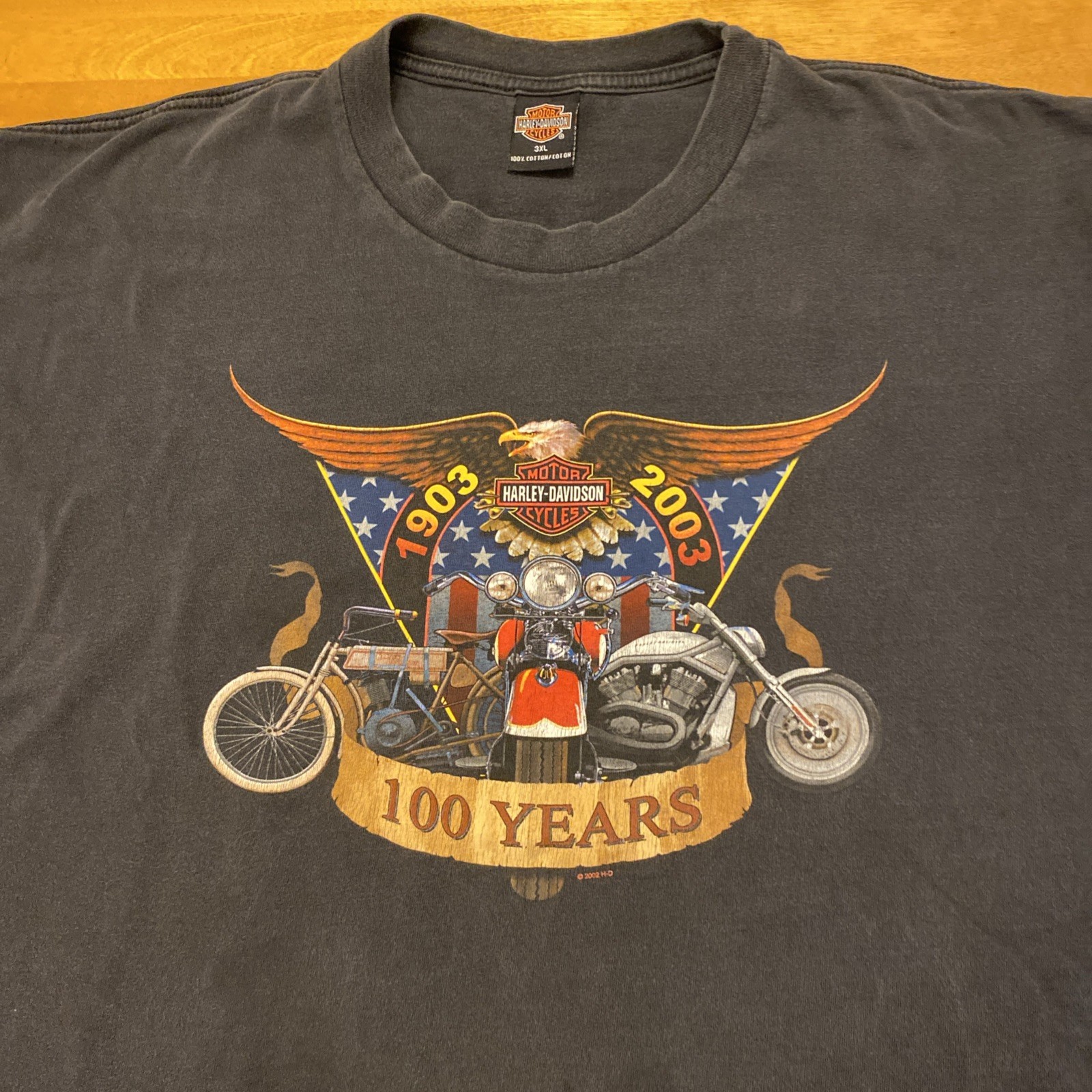 Y2K Harley-Davidson T Shirt 100 Years Size 3XL Missoula Montana Stains Y2K Harley-Davidson T Shirt 100 Years Size 3XL Missoula Montana Stains
