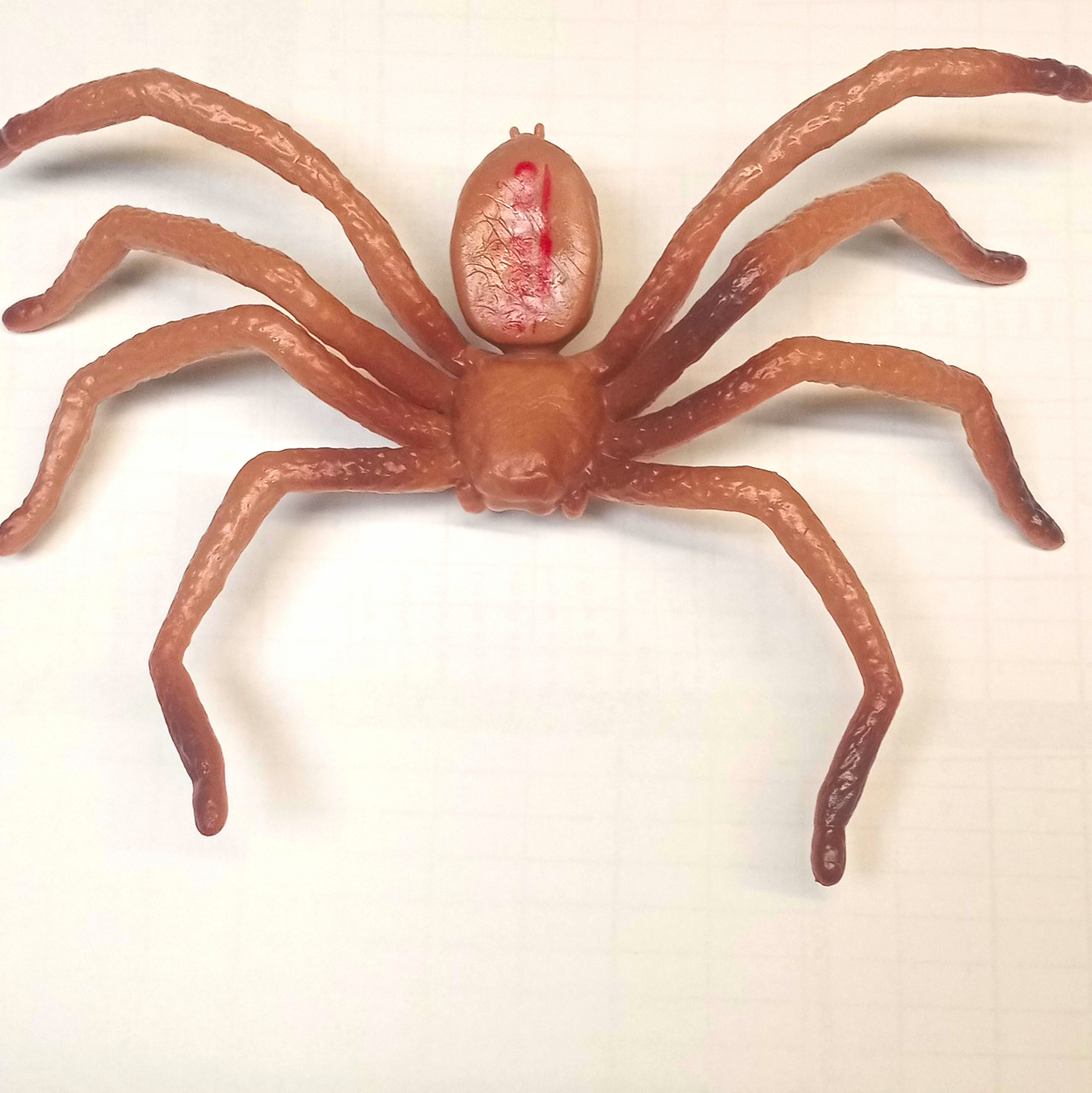 Outback steakhouse huntsmans pider, Plastic Collectible new