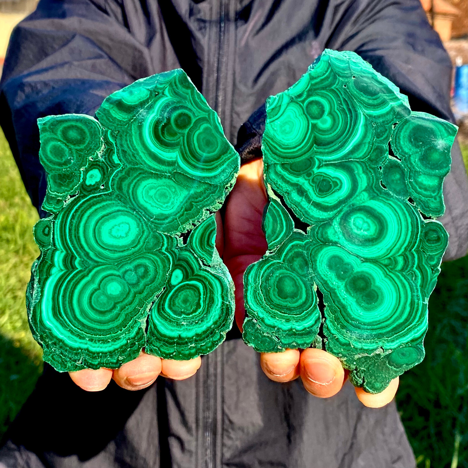1.55LB A Pair Natural Green Malachite Crystal Flaky Pattern Ore Specimen