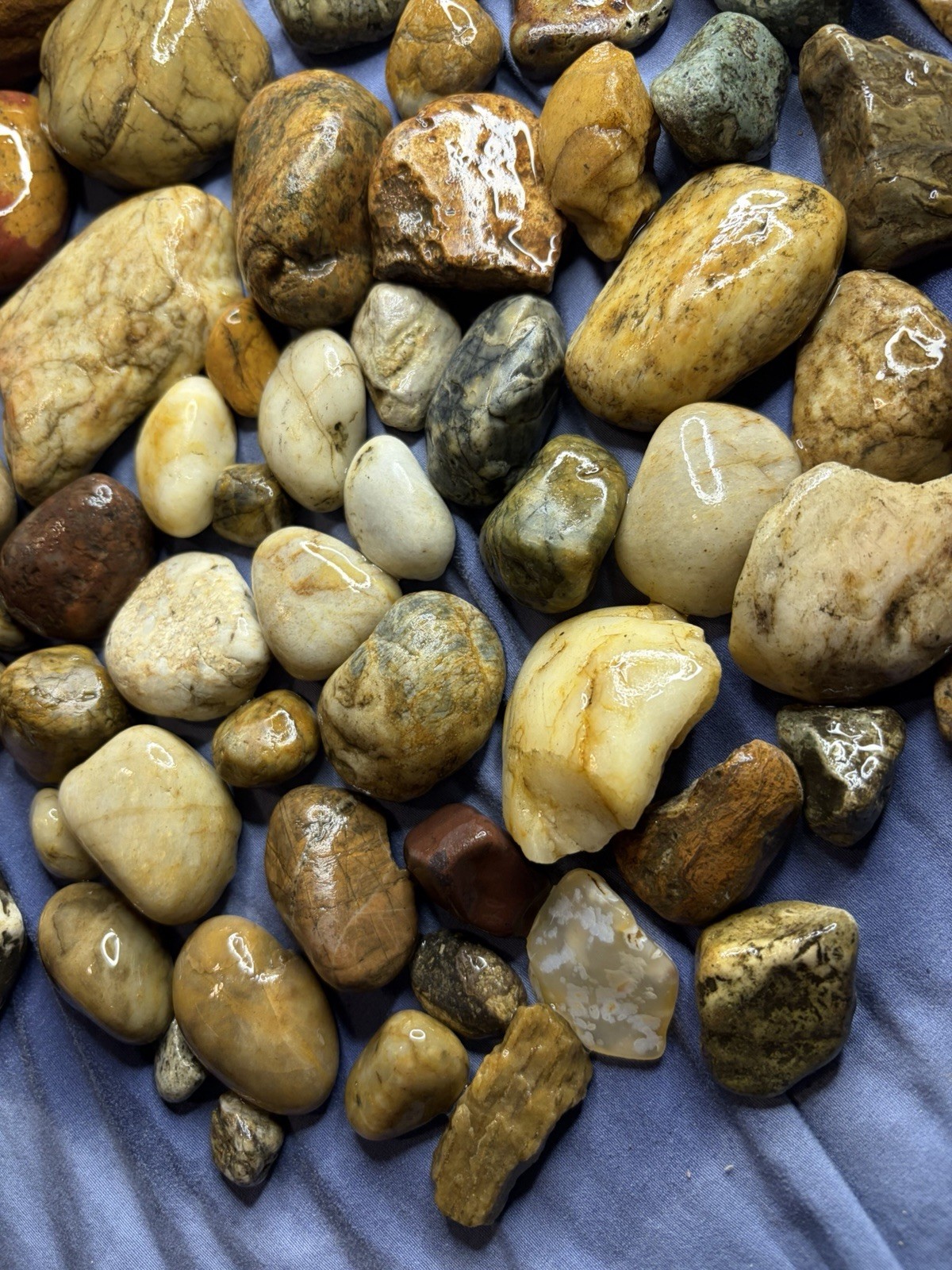 4 Lbs of TUMBLE READY Stones Mixed Agate's
