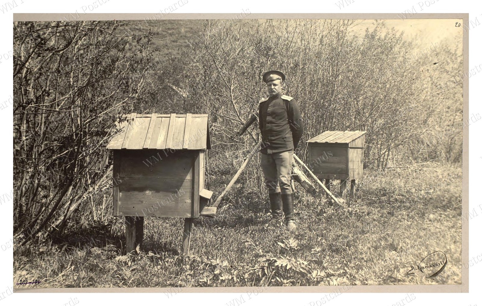 Stepnoi Krai 1909 Cossack Beehives Beekeeper Standard Postcard