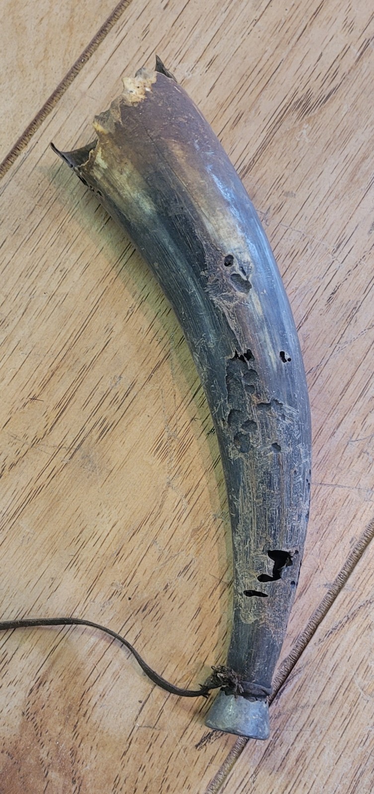 Incomplete Antique Powder Horn (?)
