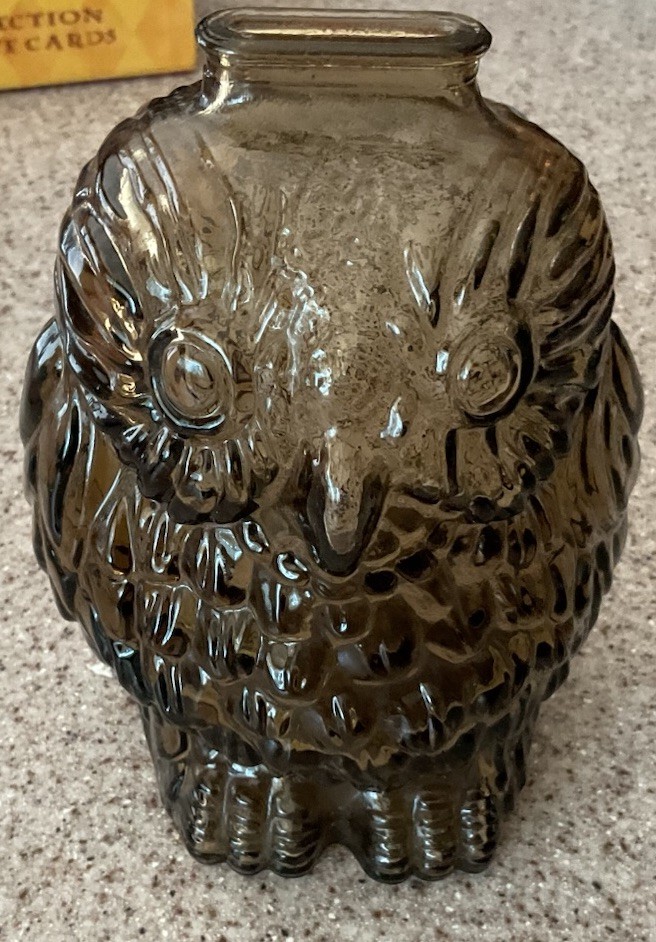 Vintage Glass Wise Old Owl Bank Clear Embossed Piggy Bank Retro Vintage Glass Wise Old Owl Bank Clear Embossed Piggy Bank Retro