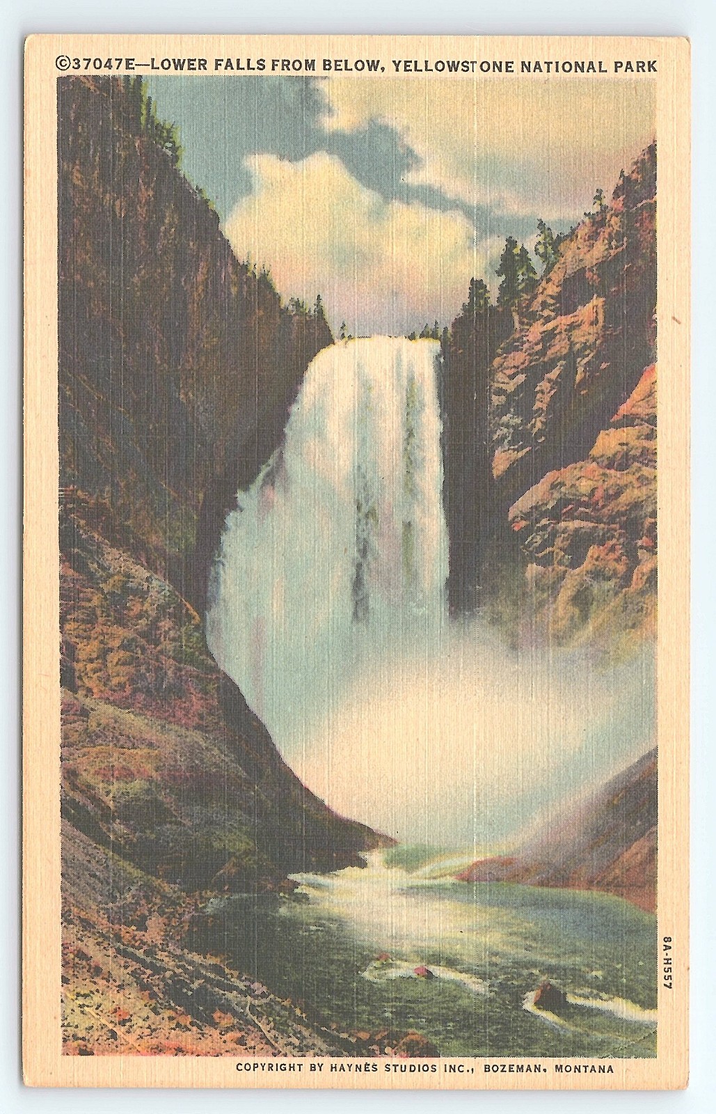Postcard Lower Falls from Below Yellowstone National Park Wyoming